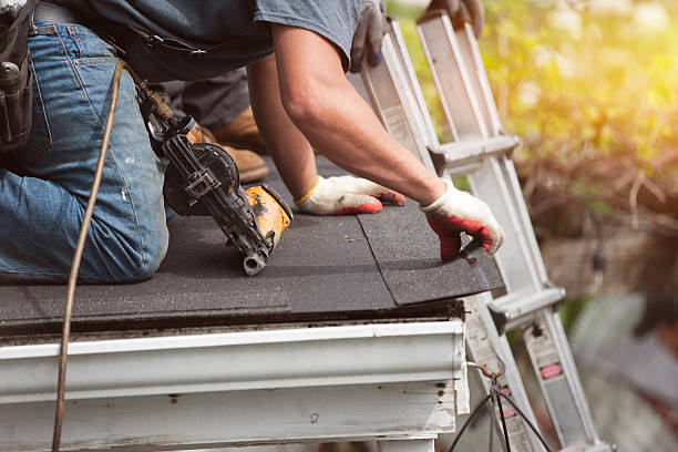 Gutter Installation and Roofing in Blue Ridge, AL